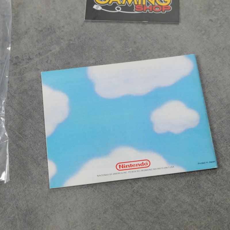Super Mario Bros 2 Nintendo