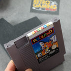 Vendita Rodland - Retrogaming Shop