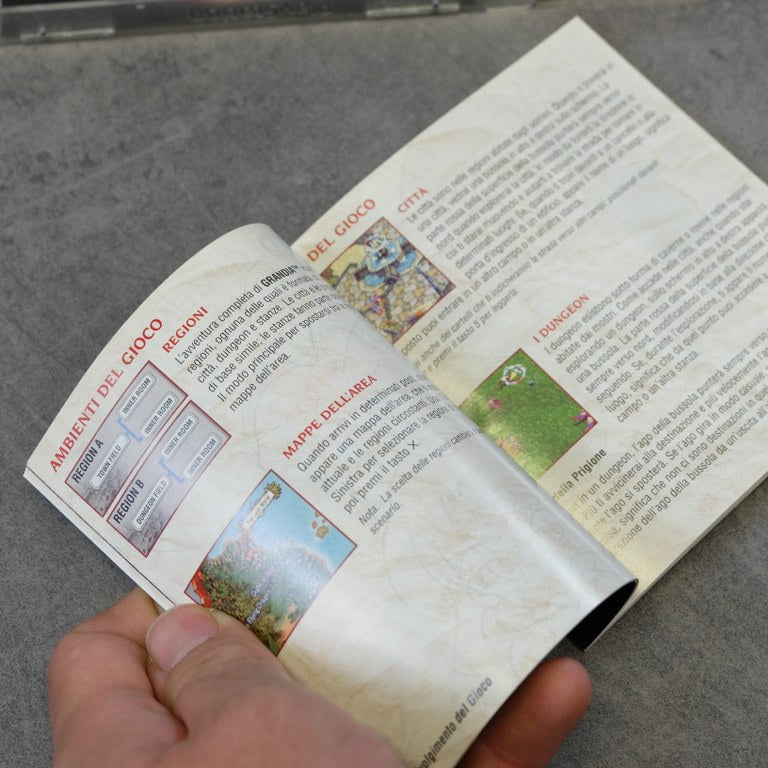 Vendita Grandia - Retrogaming Shop