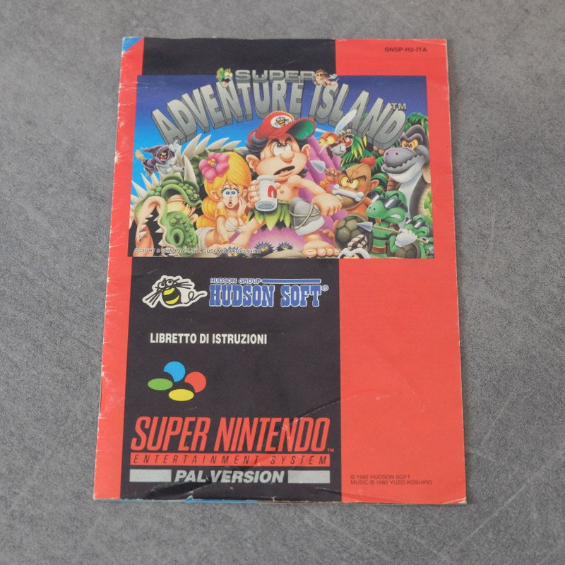 Super Adventure Island Gig Nintendo