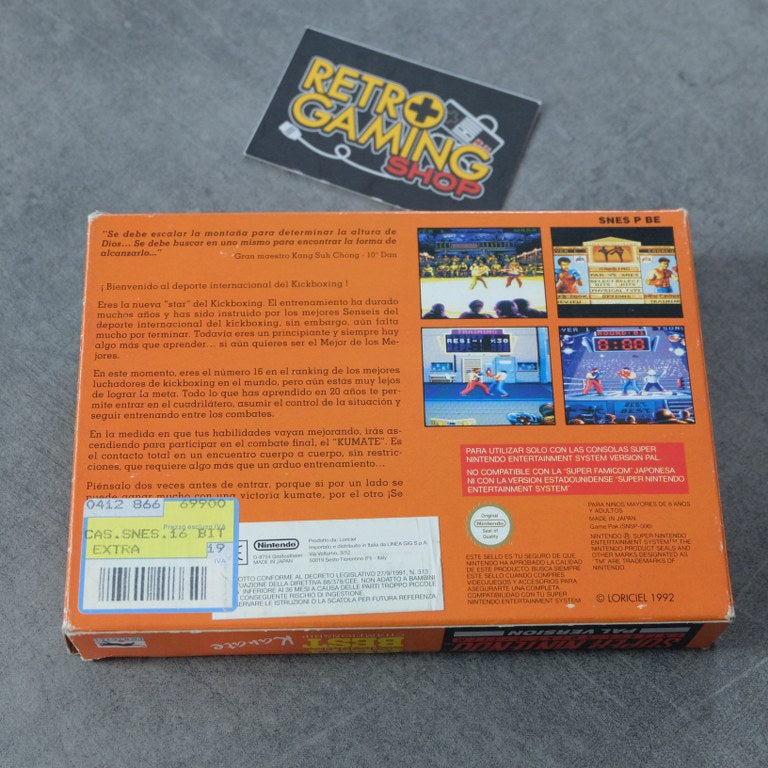 Best of The Best Championship Karate Nintendo