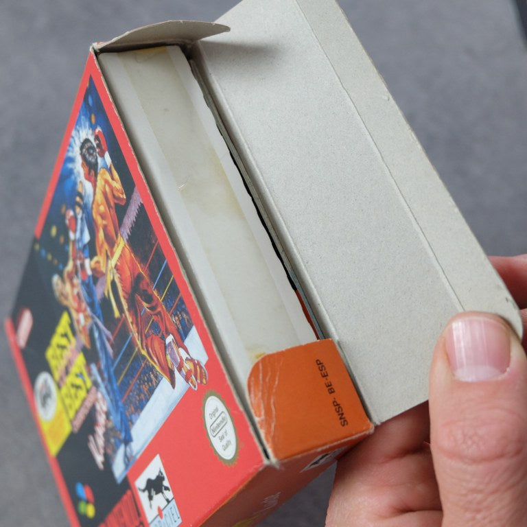 Best of The Best Championship Karate Nintendo