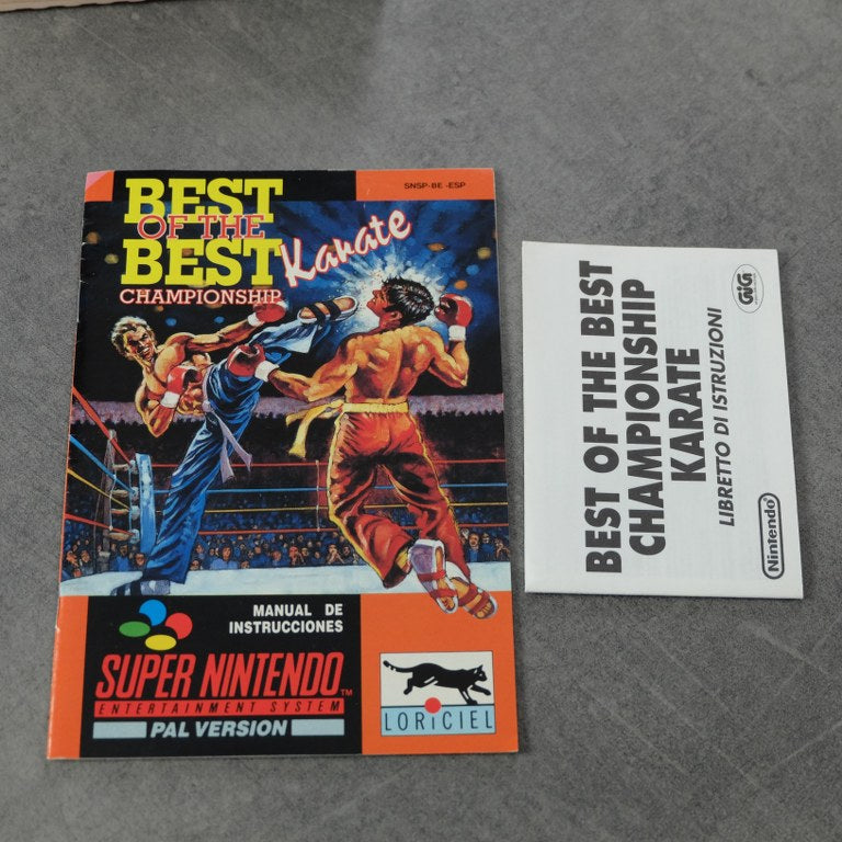 Best of The Best Championship Karate Nintendo
