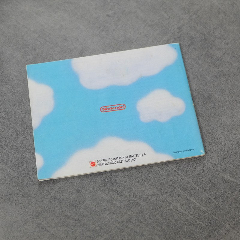 Vendita Super Mario Bros 2 - Retrogaming Shop