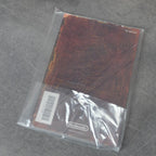 Vendita Pandora’s Tower Limited Edition - Retrogaming Shop