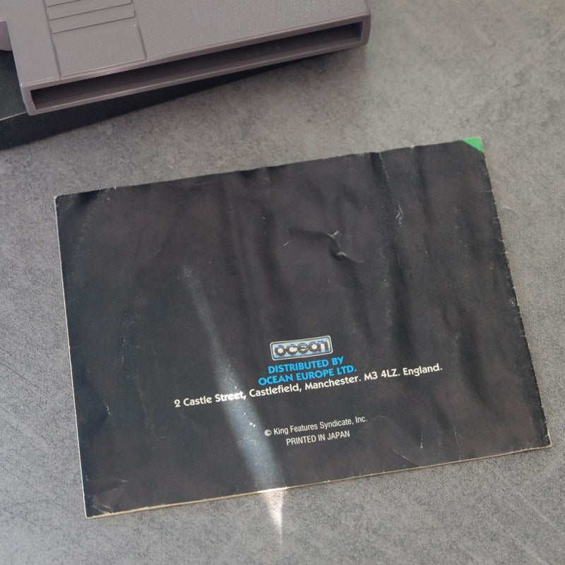 The Legend of Prince Valiant Nintendo
