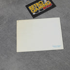 Vendita Paperboy - Retrogaming Shop