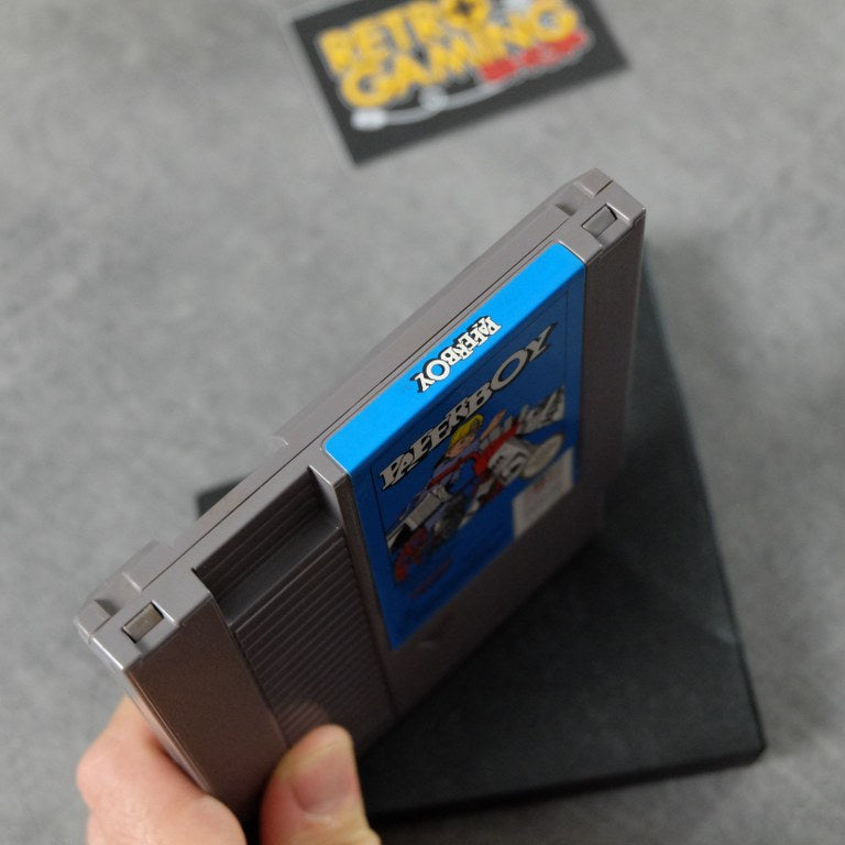 Paperboy Nintendo