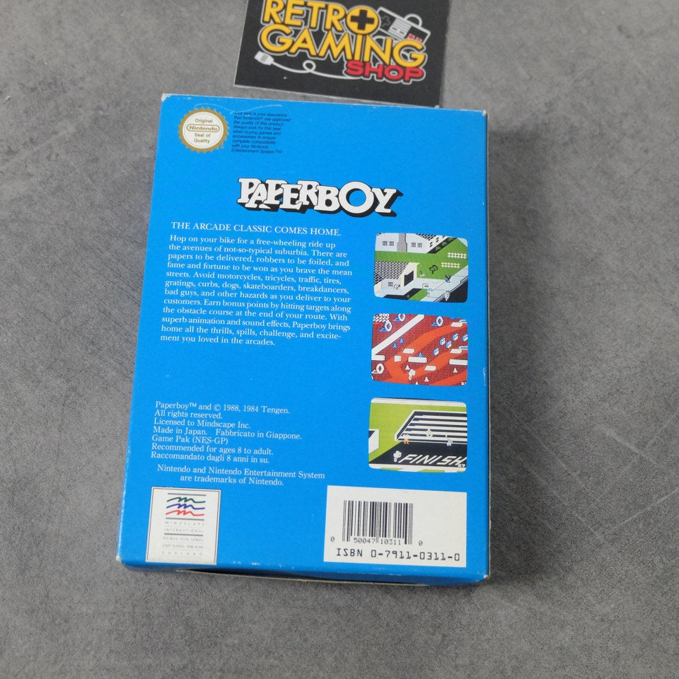 Paperboy Nintendo