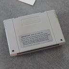 Vendita Super Pang - Retrogaming Shop