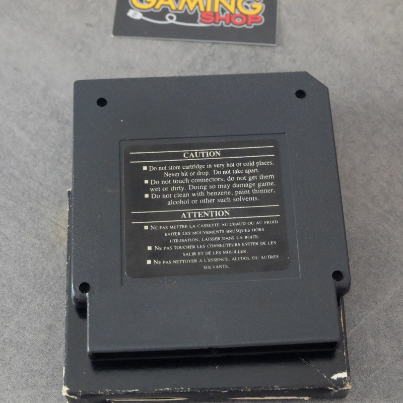 Dudes With Attitudes Nintendo