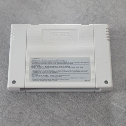 Vendita Demon's Crest - Retrogaming Shop