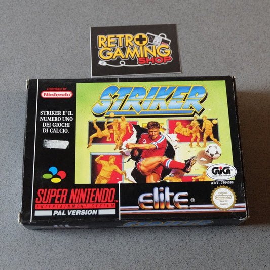 Striker Nintendo