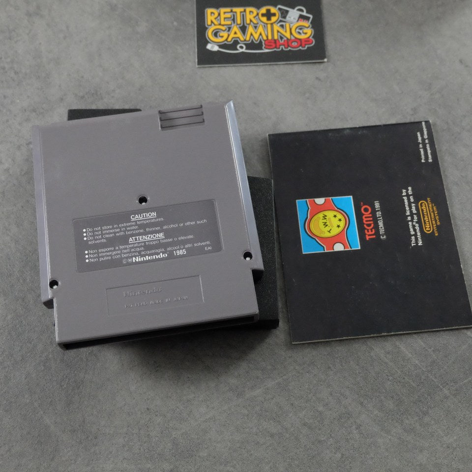 Tecmo World Wrestling Nintendo