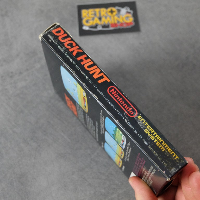 Duck Hunt Nintendo