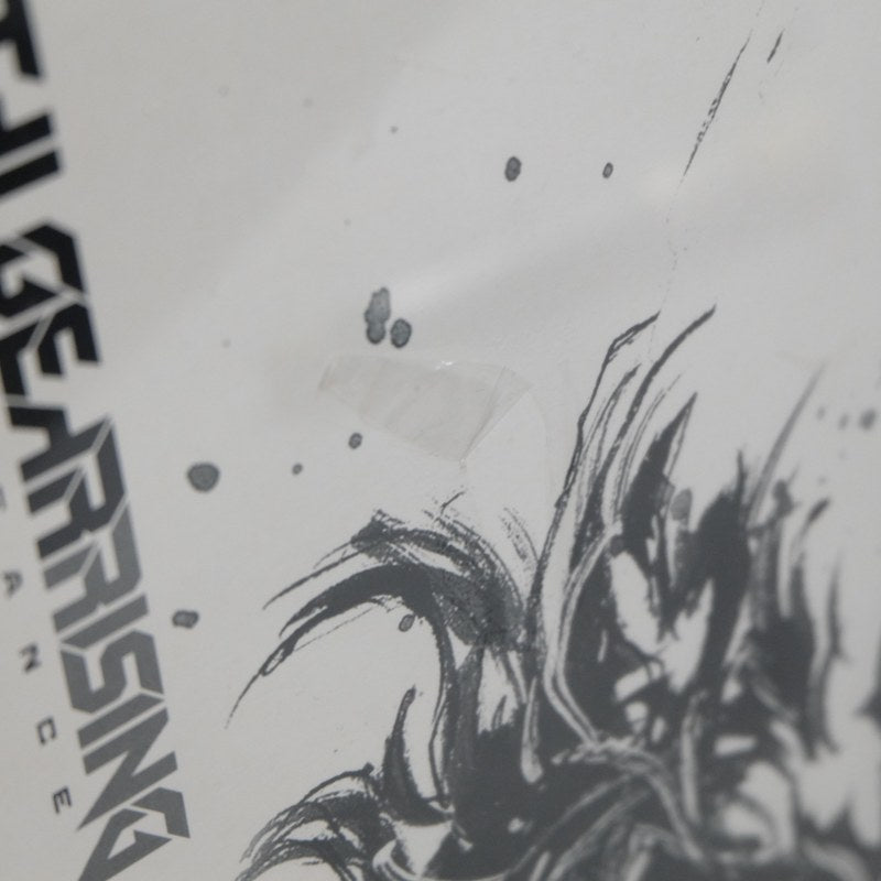 Metal Gear Rising Revengeance Limited Edition Nuova Microsoft