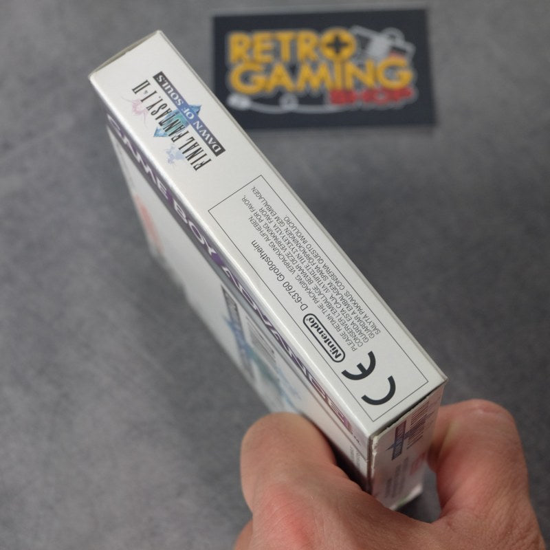 Final Fantasy I & II Nintendo
