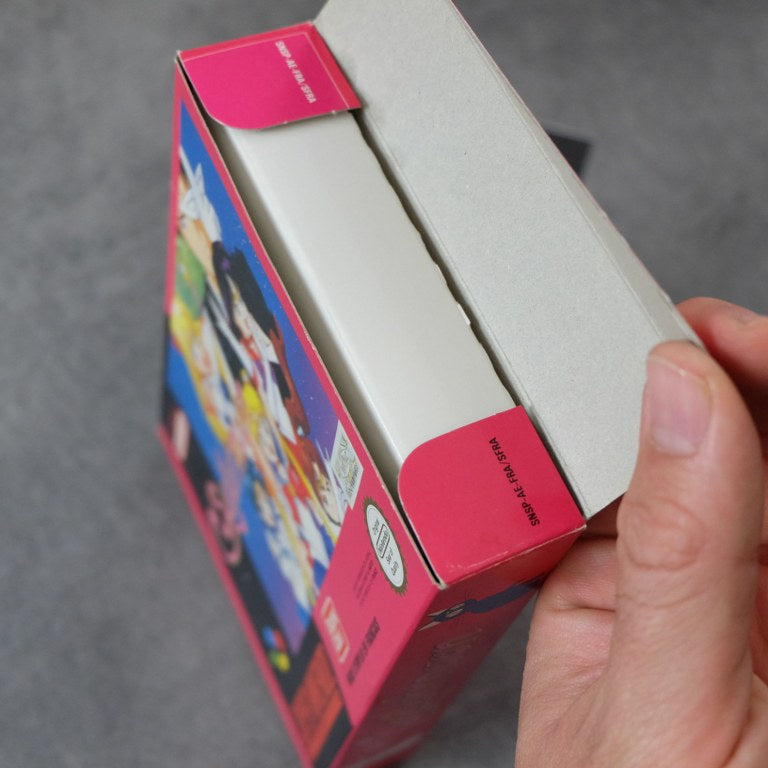 Sailormooon Nintendo
