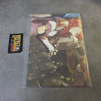 Vendita Fire Emblem Echoes Shadows of Valentia Limited Edition Nuovo + Poster - Retrogaming Shop