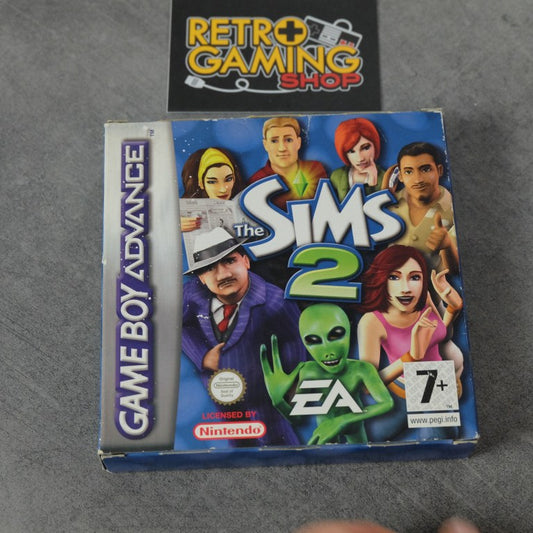 The Sims 2 Nintendo