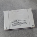 Vendita Art Of Fighting - Retrogaming Shop