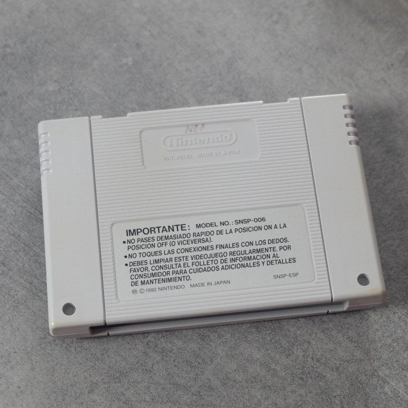 Vendita Art Of Fighting - Retrogaming Shop