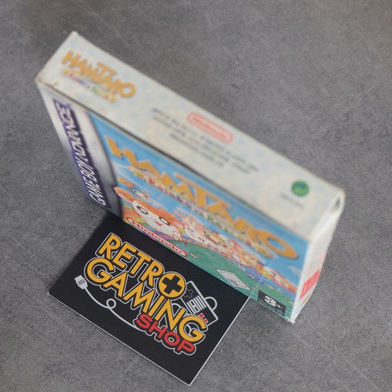 Hamtaro Rainbow Rescue Nintendo