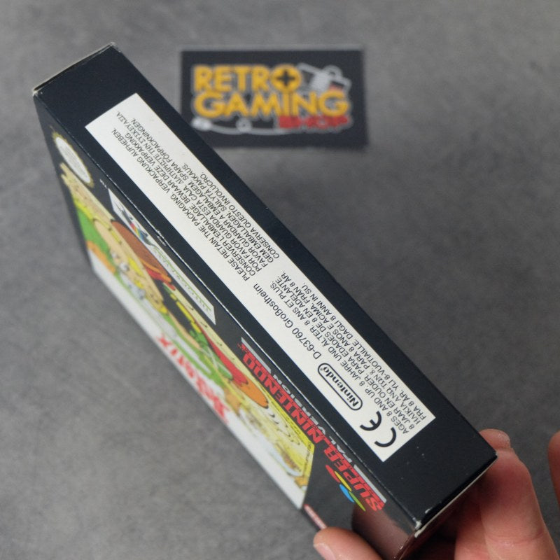 Asterix Nintendo