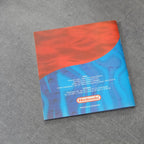 Vendita Pokemon Versione Rubino - Retrogaming Shop