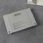 Vendita Demolition Man - Retrogaming Shop
