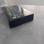 Vendita Batman Arkham Asylum Collector's Edition - Retrogaming Shop