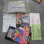 Vendita Super Street Fighters 2 The New Challengers - Retrogaming Shop