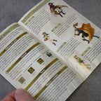 Vendita Fire Emblem: Path Of Radiance - Retrogaming Shop