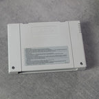 Vendita Street Fighter Alpha 2 - Retrogaming Shop
