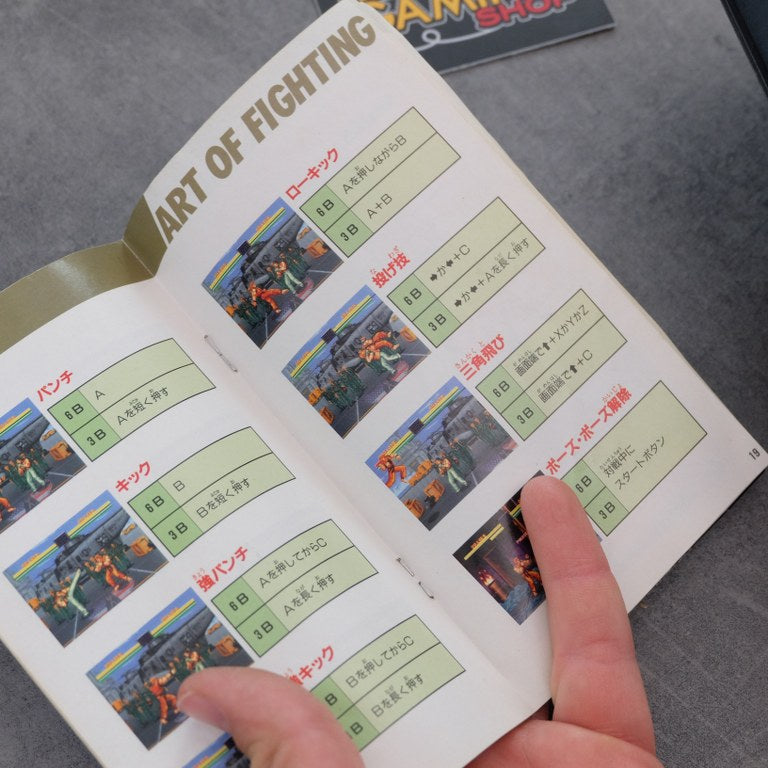 Ryuko no Ken / Art of Fighting SEGA