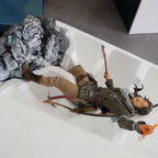 Vendita Rise of The Tomb Raider Celebrazione Dei 20 Anni Collector's edition - Retrogaming Shop