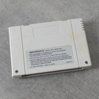Vendita Street Fighter 2 - Retrogaming Shop