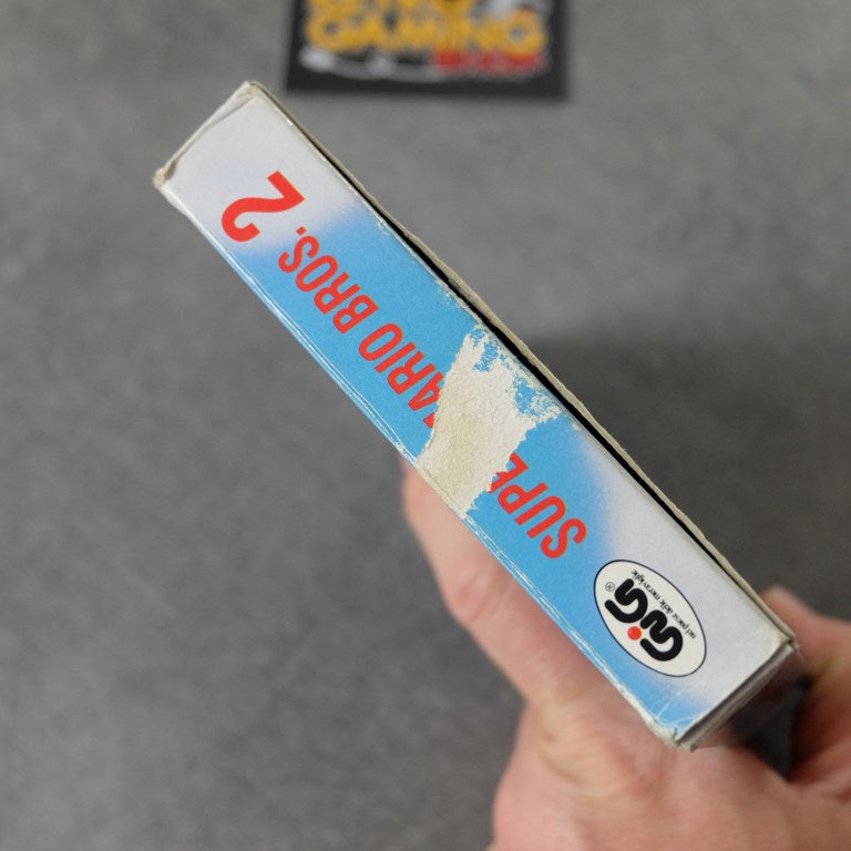 Super Mario Bros 2 Nintendo