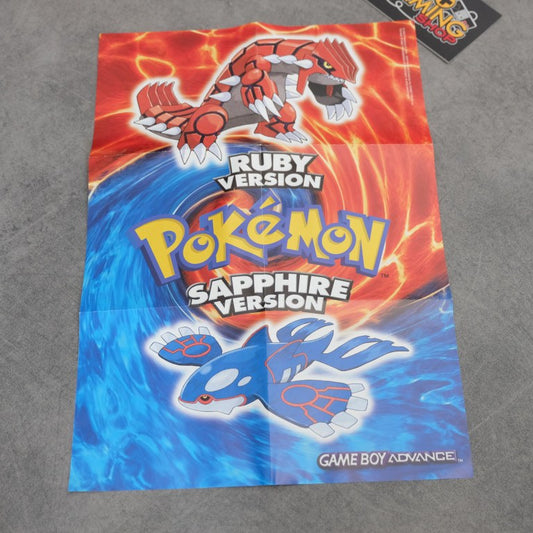 Pokemon Poster Nintendo