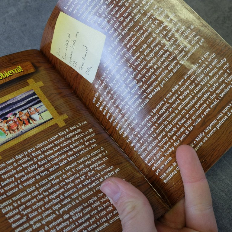 Donkey Kong Country 3 Dixie Kong's Double Trouble Nintendo