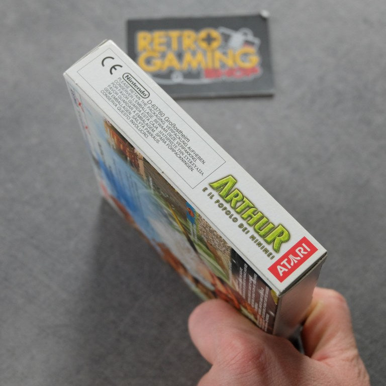 Arthur e Il Popolo dei MiniEunuchi Nintendo
