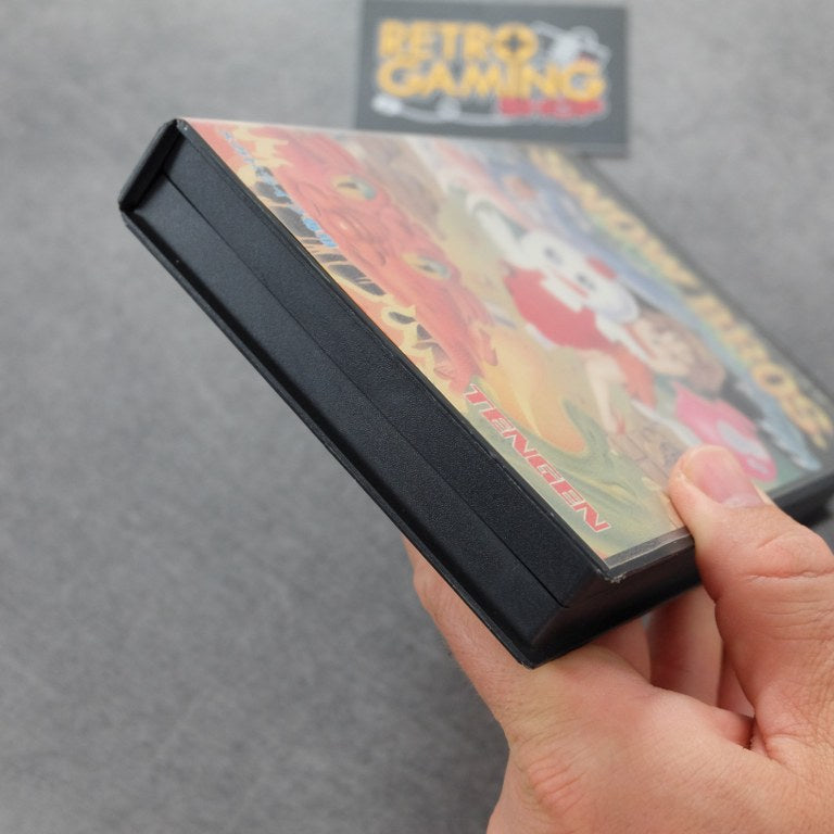 Vendita Snow Bros. Nick & Tom - Retrogaming Shop