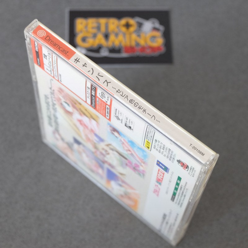 Vendita Canvas Sephia Iro no Motif - Retrogaming Shop