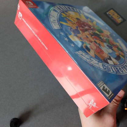 Vendita Windjammers Collector's Edition Nuova - Retrogaming Shop